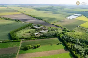 Cladire industriala de vanzare cu potential 3,5 ha in Batania - imagine 14