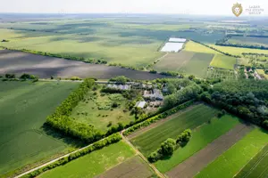 Cladire industriala de vanzare cu potential 3,5 ha in Batania - imagine 13