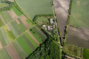 Cladire industriala de vanzare cu potential 3,5 ha in Batania - imagine 18