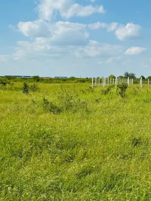 MT219 Teren intravilan Rudicica, 551mp - imagine 2