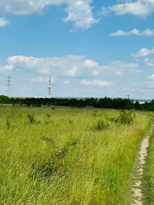 MT219 Teren intravilan Rudicica, 551mp - imagine 4