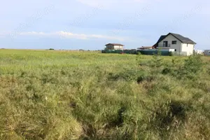 Terenuri de vanzare Berceni Ilfov str. Primăverii, comision 0 - imagine 3