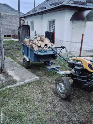 Motocultor Pro Garden 18cp