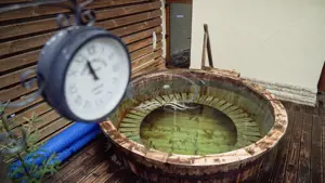 Spa cu renume si business welness functional - imagine 4