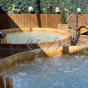 Spa cu renume si business welness functional - imagine 12