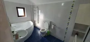 Corunca - Vanzare sau Schimb - casa 4 camere - imagine 14