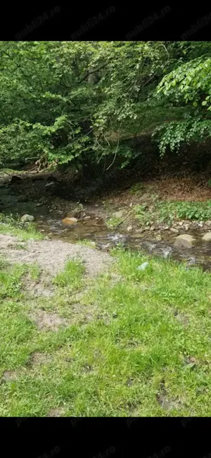 Vand teren pentru cabana  - imagine 2