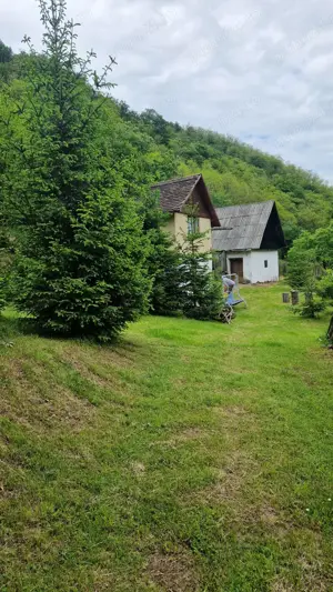 Vand teren pentru cabana  - imagine 4