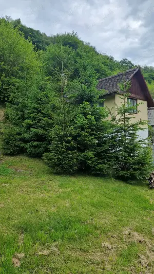 Vand teren pentru cabana  - imagine 5