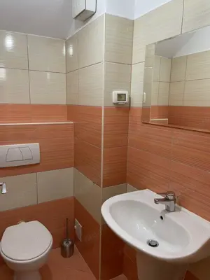 Ap cu 3 camere zona Aradului - imagine 10