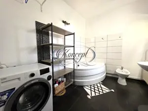 Apartament cu garaj, terasa si curte, Zorilor, pet friendly  - imagine 11