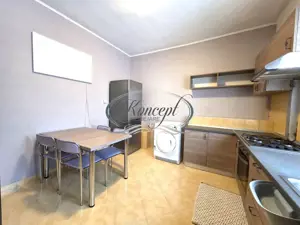 Apartament cu garaj, terasa si curte, Zorilor, pet friendly  - imagine 6