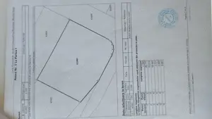 Proprietar vând teren intravilan 1100 m2 Mosnita Nouă  - imagine 2