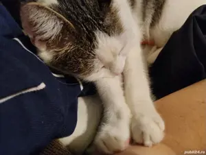 Masaj ,reflexoterapie