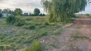 Proprietar vând teren intravilan 1100 m2 Mosnita Nouă  - imagine 5