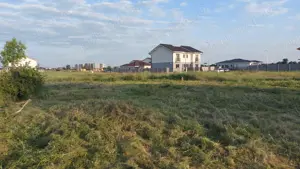 Proprietar vând teren intravilan 1100 m2 Mosnita Nouă  - imagine 6