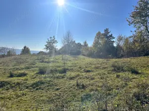 Teren de vânzare Sovata 