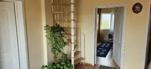 Ciopani vila 5 camere teren 4000 mp - imagine 15