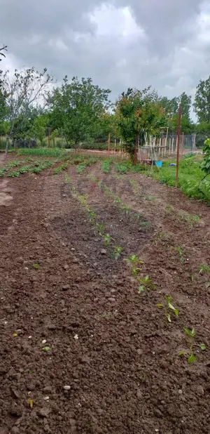 Casă / Vilă cu 2 camere de vânzare - imagine 8