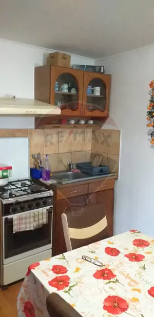 Casă / Vilă cu 2 camere de vânzare - imagine 5