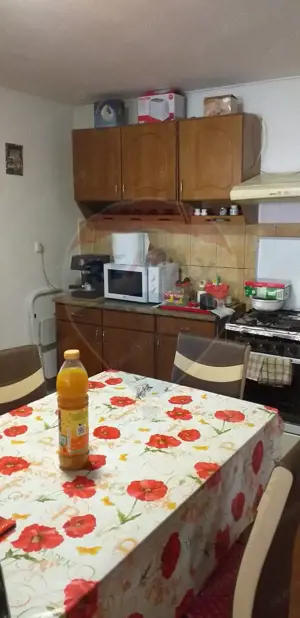 Casă / Vilă cu 2 camere de vânzare - imagine 6