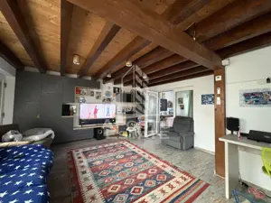 Casa cu sediu firma, atelier si apartament separat Mosnita Noua - imagine 3