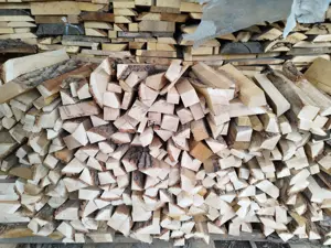 resturi lemn esenta tare ; rumegus afumatoare - imagine 2