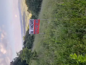 Vând pășune cu padure ( extravilan) - imagine 4