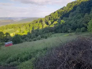 Vând pășune cu padure ( extravilan) - imagine 5