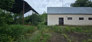 Teren agricol extravilan, 16000 Mp si 1234 Mp, Rora, Sighisoara - imagine 4