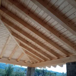 Villa de vinzare  - imagine 10