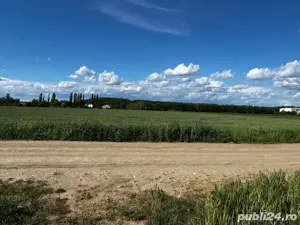 Teren de vanzare 1 Decembrie,Ilfov