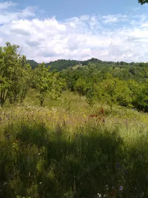  Teren  intravilan Jud Prahova - imagine 10