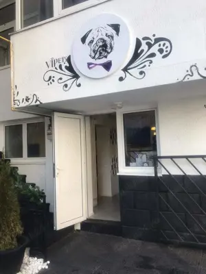 Herastrau Inchiriez Vila cu P+ 1 + terasa