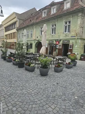 Angajam Barman Barista 