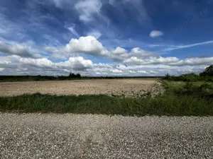 Teren intravilan parcelabil - Pausa comuna Nojorid - IMOBIHOR - imagine 4