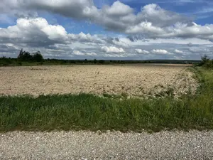 Teren intravilan parcelabil - Pausa comuna Nojorid - IMOBIHOR - imagine 5