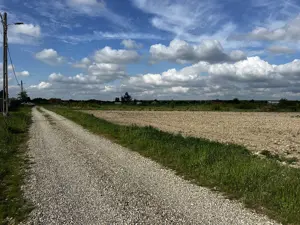 Teren intravilan parcelabil - Pausa comuna Nojorid - IMOBIHOR - imagine 6