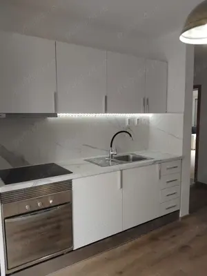  Se inchriaza apartament cu 2 camere Alba Tolstoi  - imagine 2