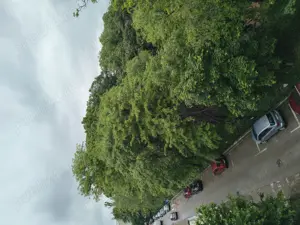 Vând apartament 4 camere decomandat  - imagine 5