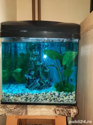 acvariu cu pești - imagine 2