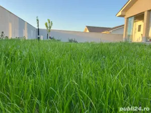 Oferim servicii de curatenie complete si intretinere gazon