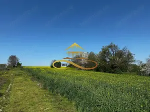 Teren EXTRAVILAN de vanzare BOSOTENI / TESCANI 7100 mp - imagine 12