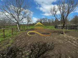 Teren EXTRAVILAN de vanzare BOSOTENI / TESCANI 7100 mp - imagine 5