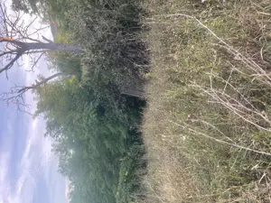 Casa de vinzare la tara  - imagine 10