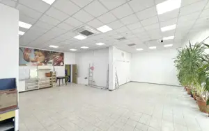 Vad Comercial Vizibilitate Maxima