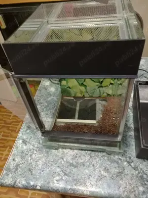 Nano terariu de vanzare - imagine 2