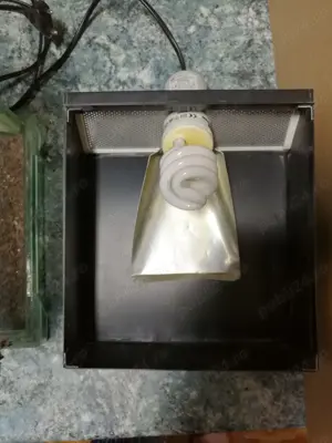 Nano terariu de vanzare - imagine 5