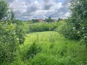 Honorici, Casa Cu Teren, 230 Mp. Suprafata construita, 1.700 Mp. Suprafata teren - imagine 16