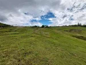 Teren extravilan 10000 mp, com Panatau - imagine 7